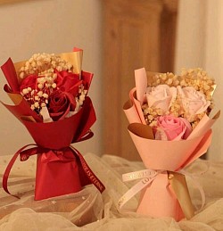 Mini Seifenrosenblumensträuchen